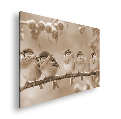 Hauptbild Sepia Standart