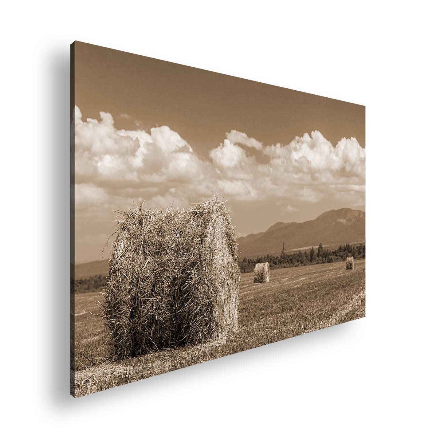 Hauptbild Sepia Standart