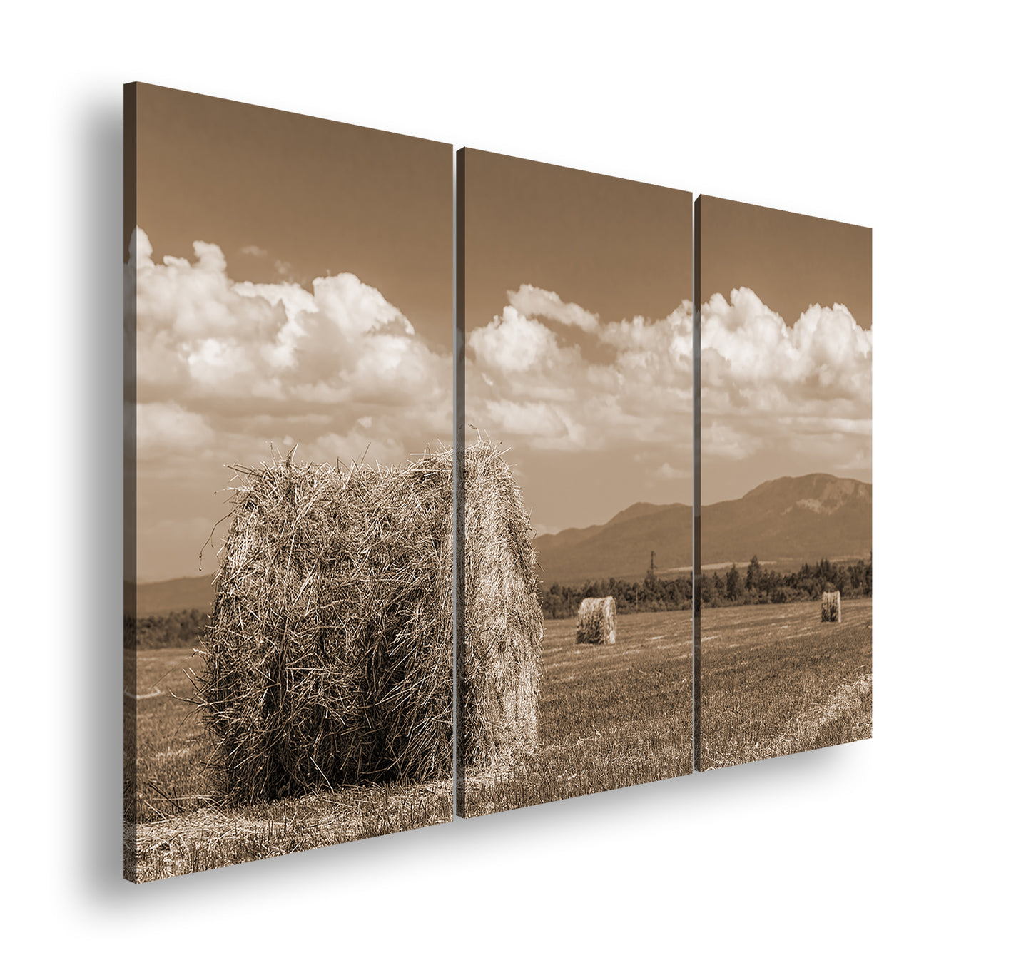 Hauptbild Sepia 3 Teilig