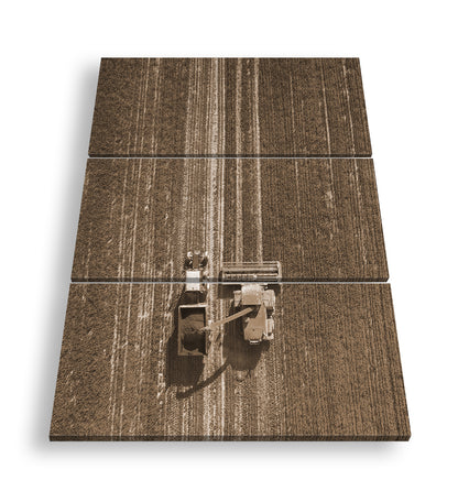 Hauptbild Sepia 3 Teilig