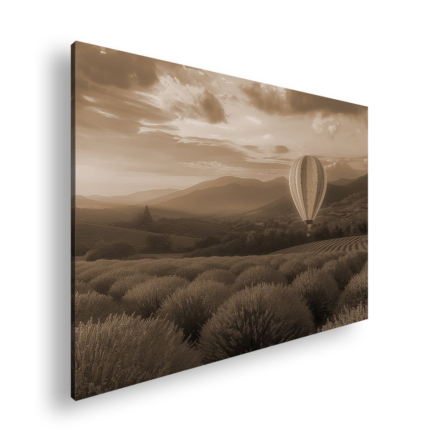 Hauptbild Sepia Standart