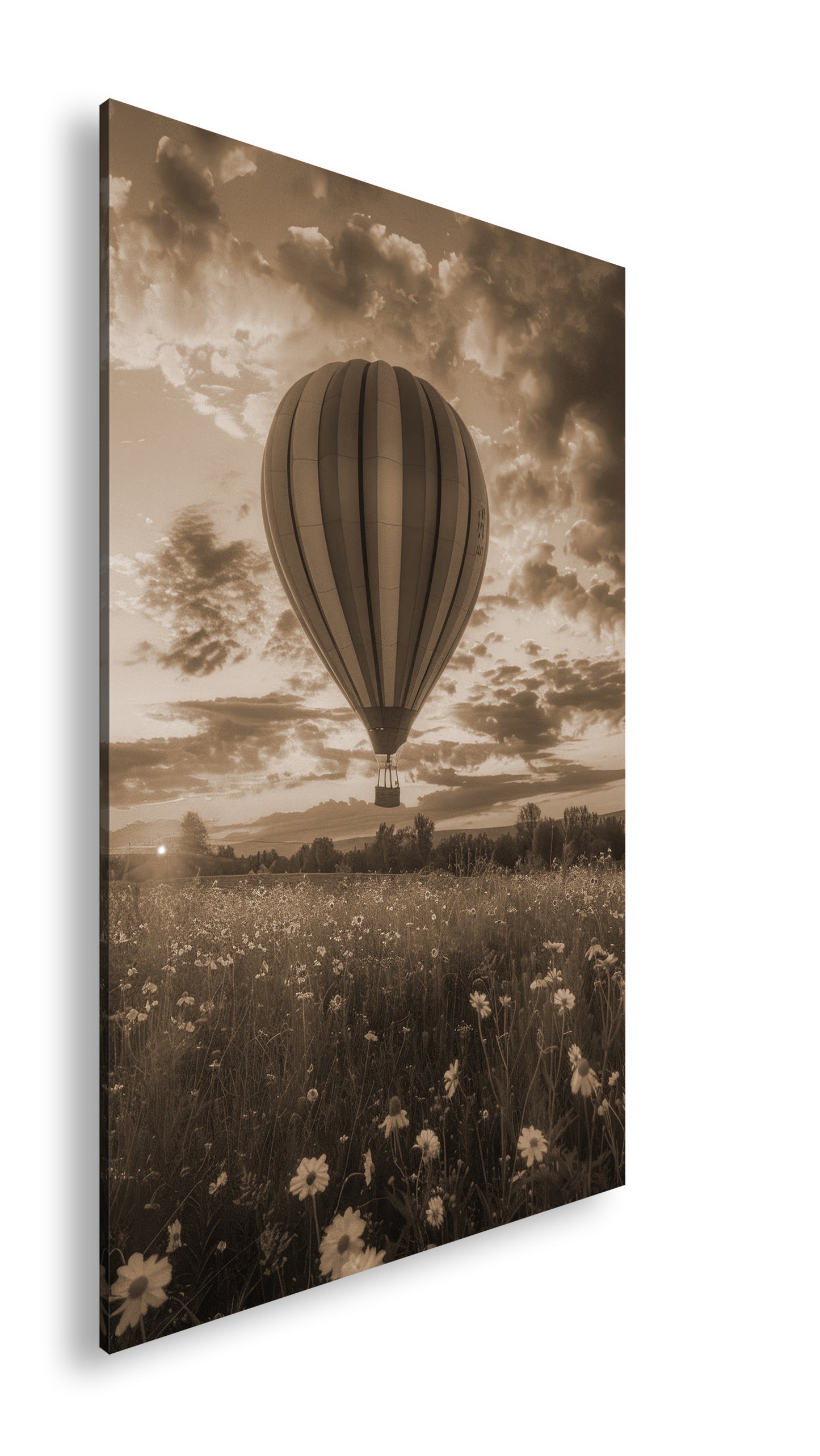 Hauptbild Sepia Standart