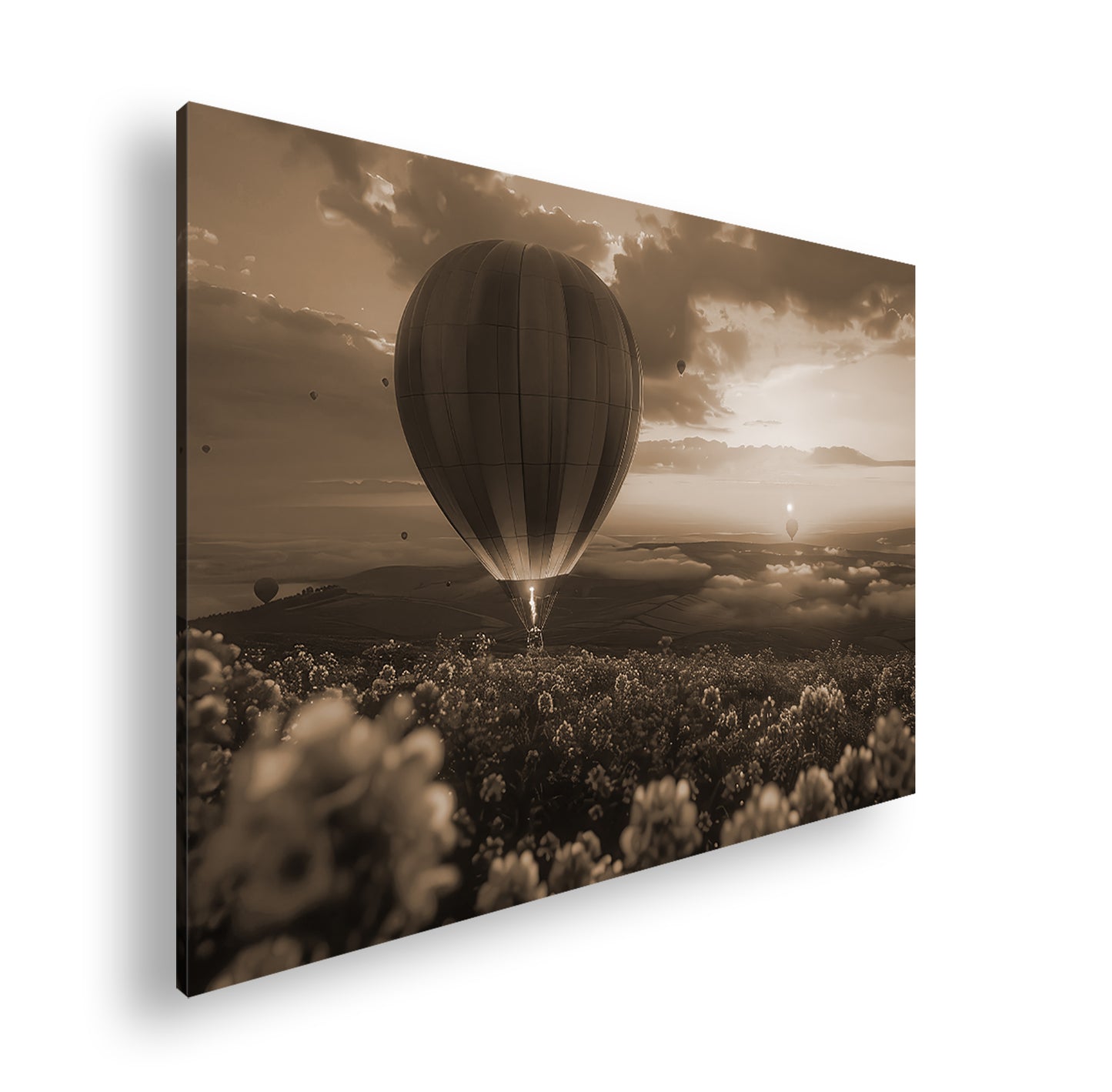 Hauptbild Sepia Standart