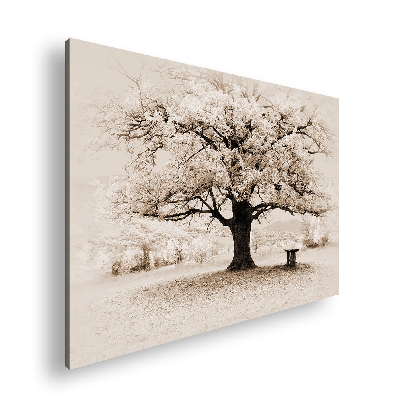 Hauptbild Sepia Standart