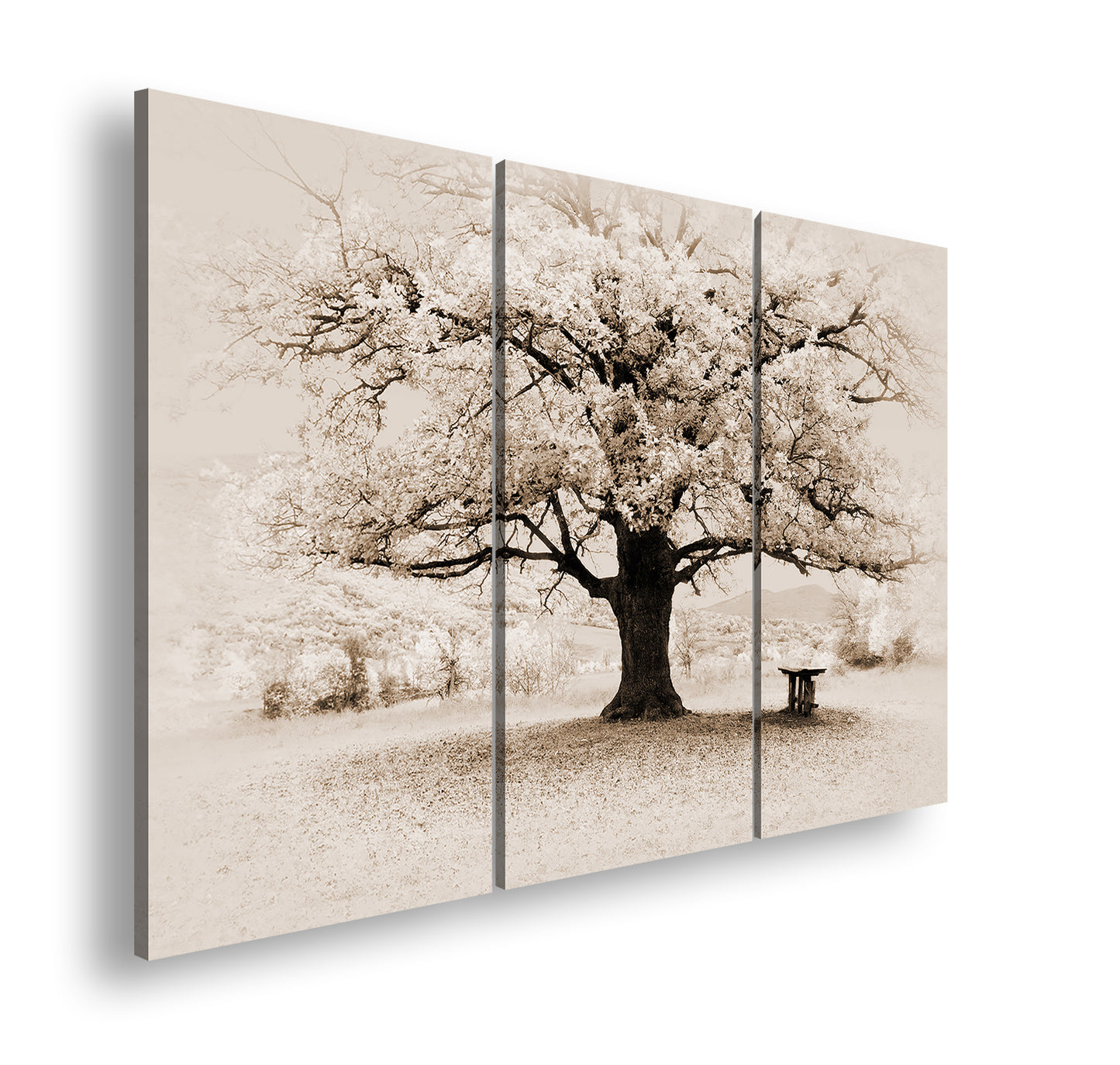 Hauptbild Sepia 3 Teilig