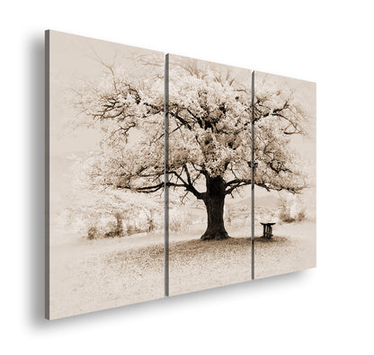 Hauptbild Sepia 3 Teilig