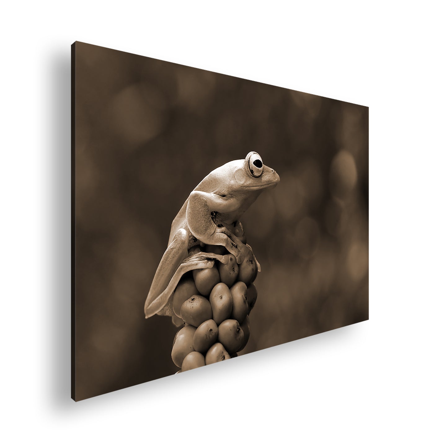 Hauptbild Sepia Standart