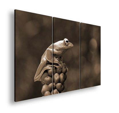 Hauptbild Sepia 3 Teilig