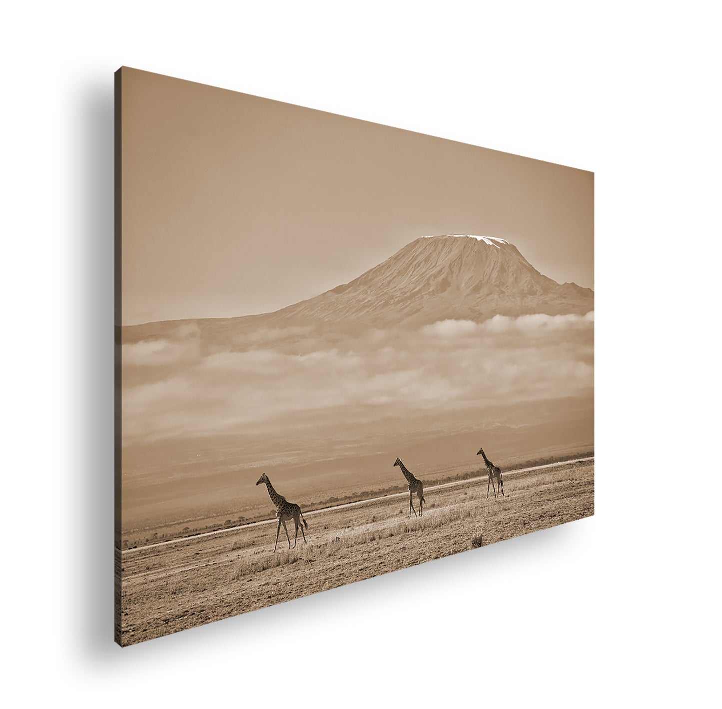 Hauptbild Sepia Standart