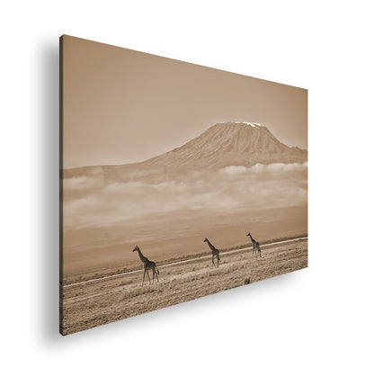 Hauptbild Sepia Standart