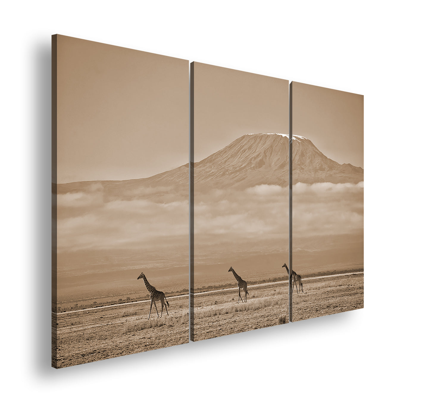 Hauptbild Sepia 3 Teilig