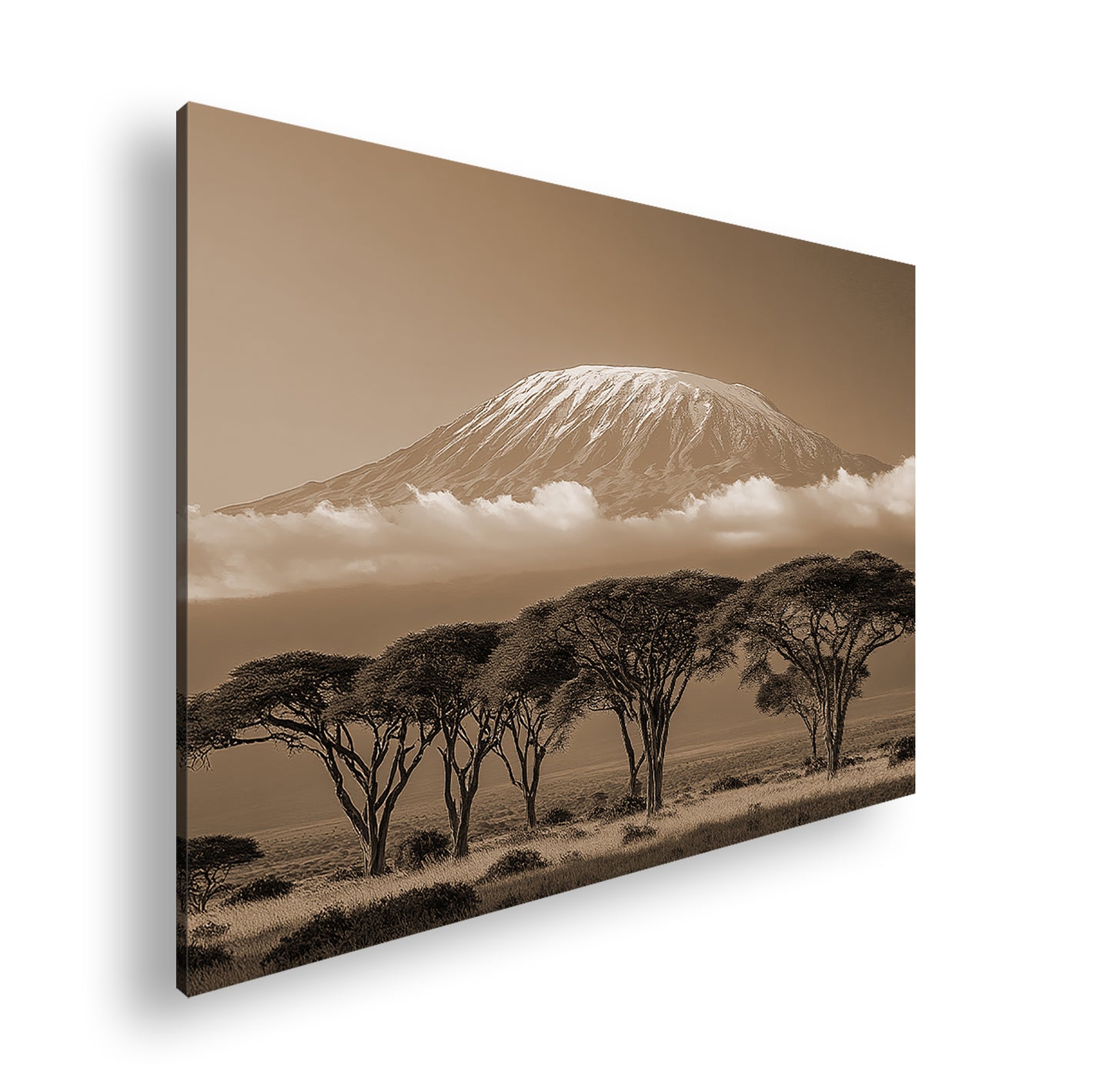 Hauptbild Sepia Standart