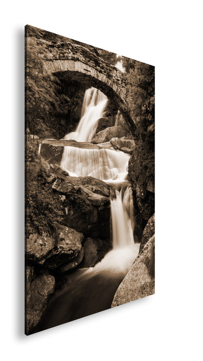 Hauptbild Sepia Standart