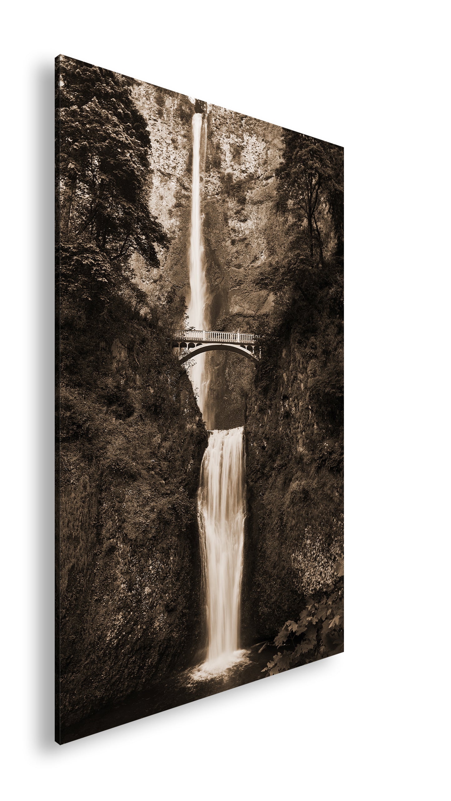 Hauptbild Sepia Standart