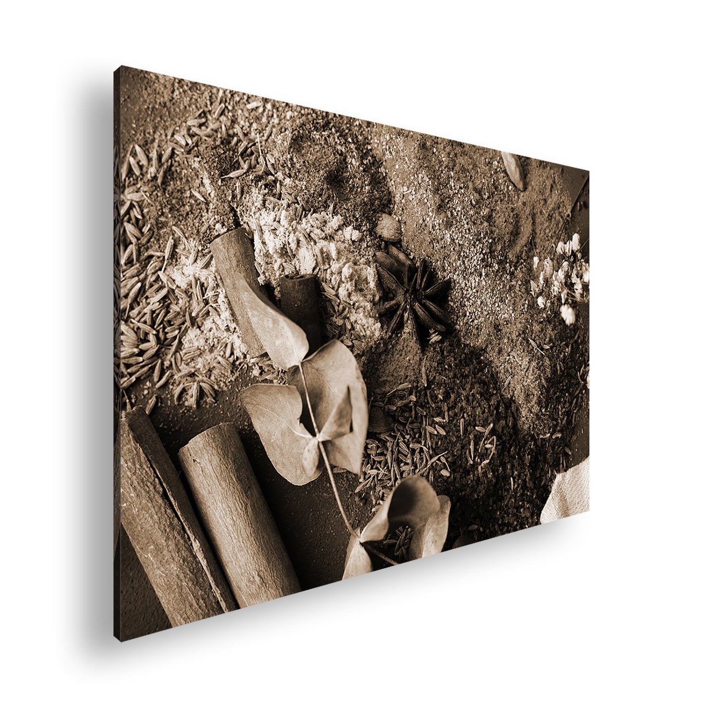 Hauptbild Sepia Standart