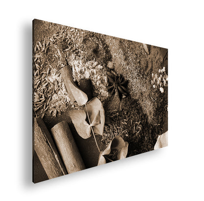 Hauptbild Sepia Standart