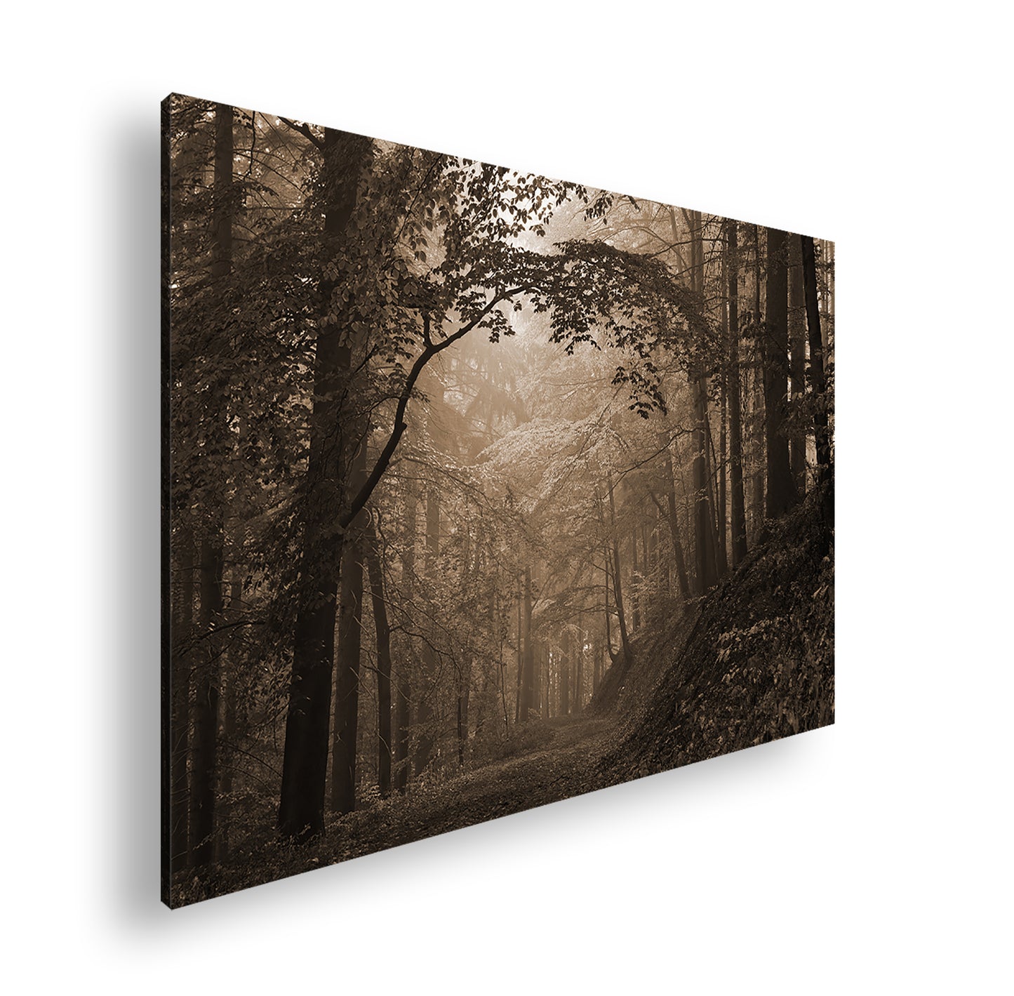 Hauptbild Sepia Standart