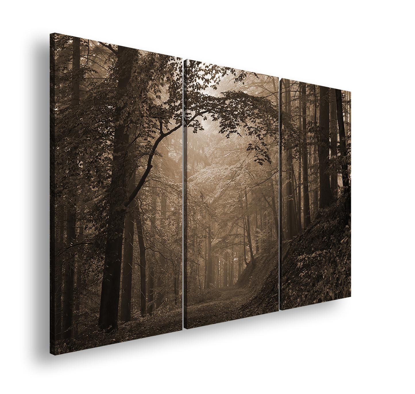 Hauptbild Sepia 3 Teilig