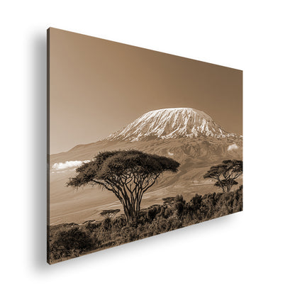 Hauptbild Sepia Standart