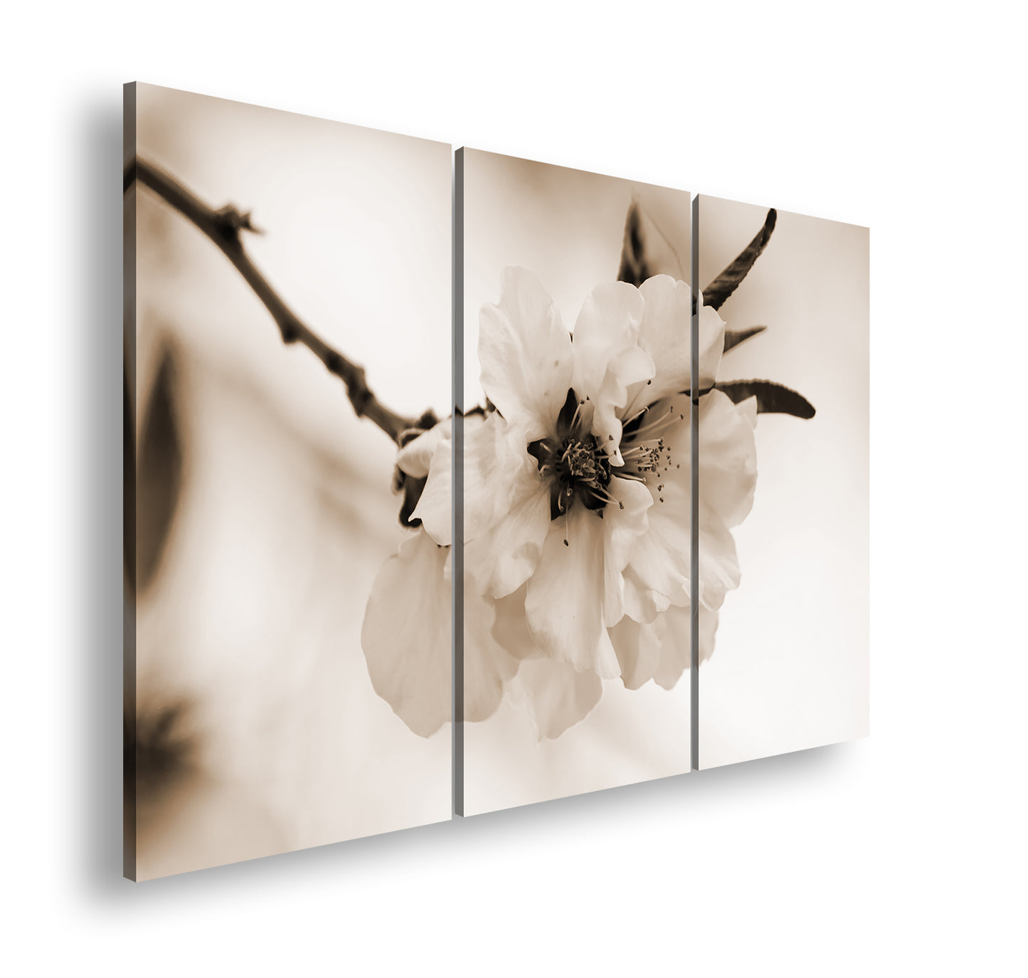 Hauptbild Sepia 3 Teilig