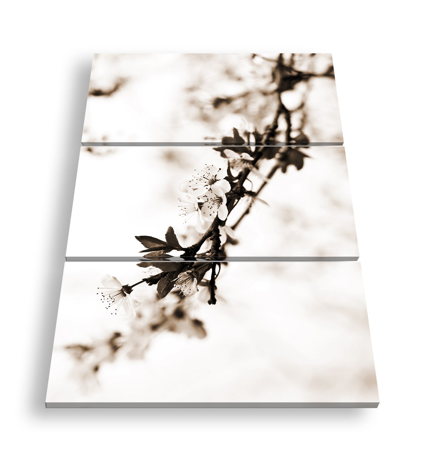 Hauptbild Sepia 3 Teilig