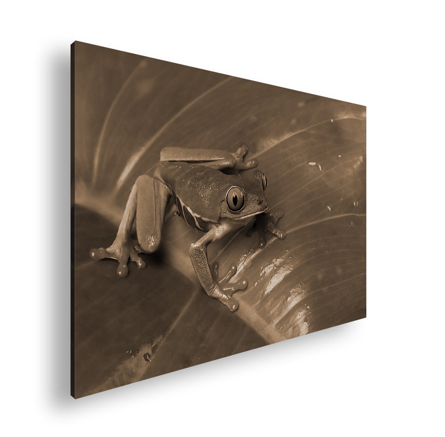 Hauptbild Sepia Standart