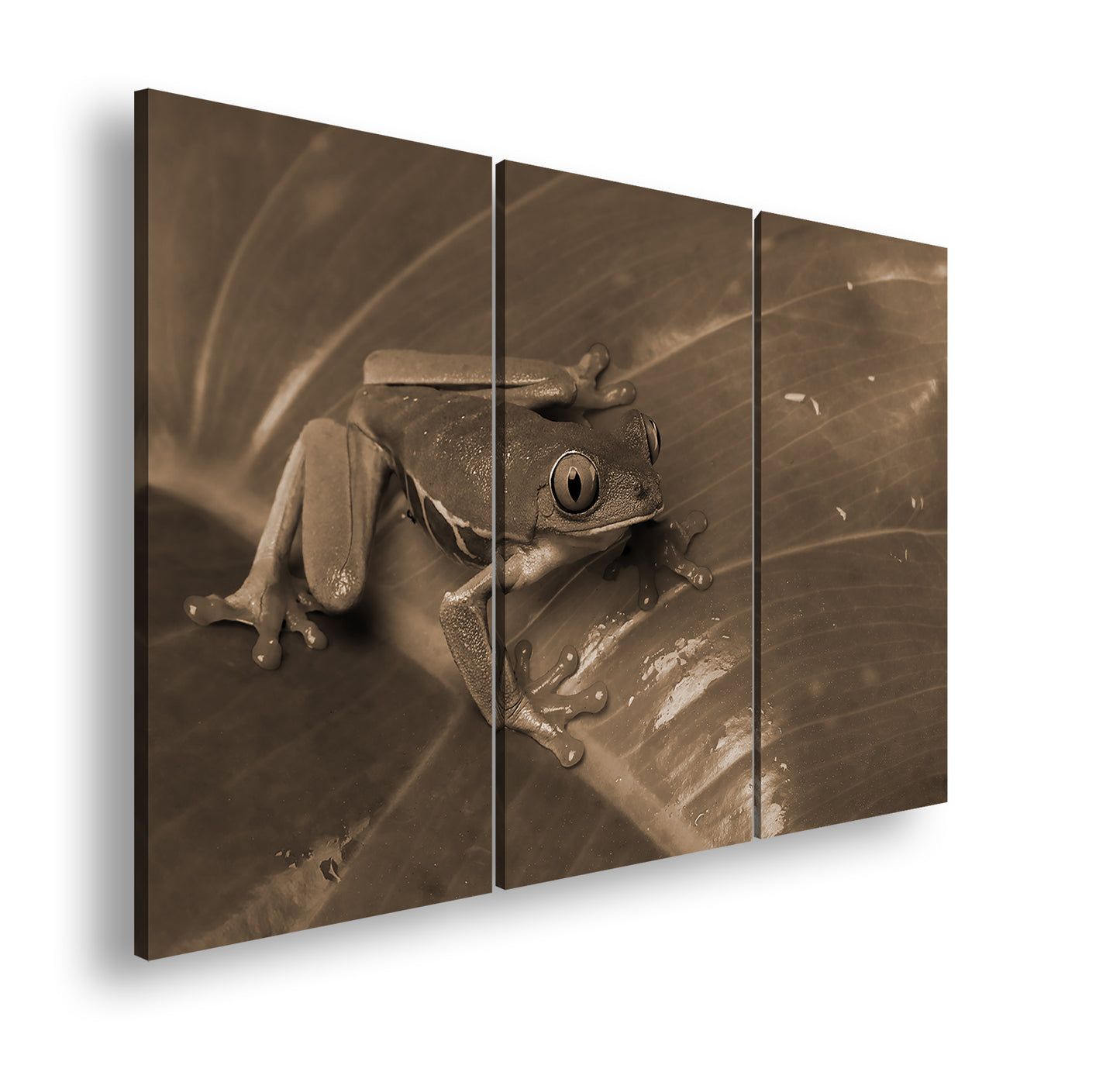 Hauptbild Sepia 3 Teilig