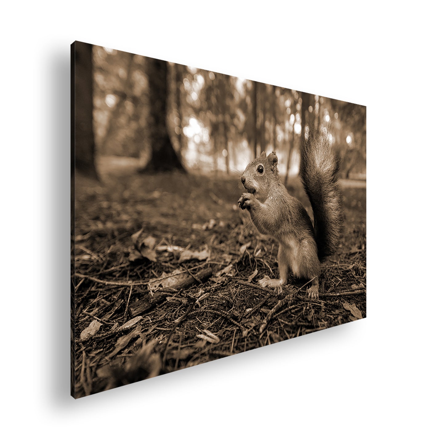 Hauptbild Sepia Standart