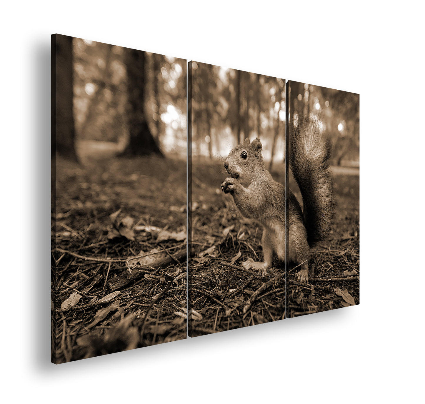 Hauptbild Sepia 3 Teilig