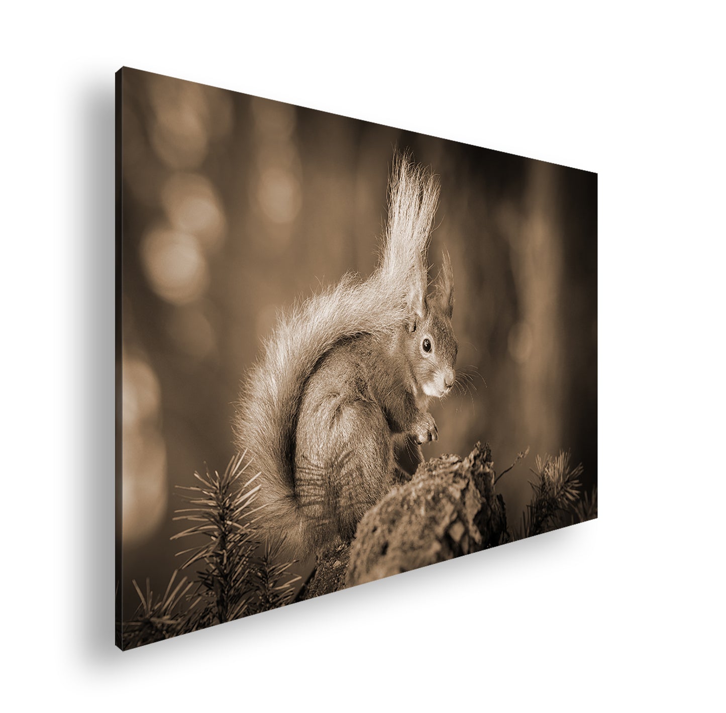 Hauptbild Sepia Standart