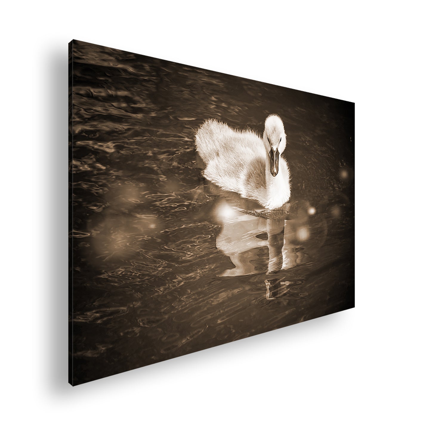 Hauptbild Sepia Standart