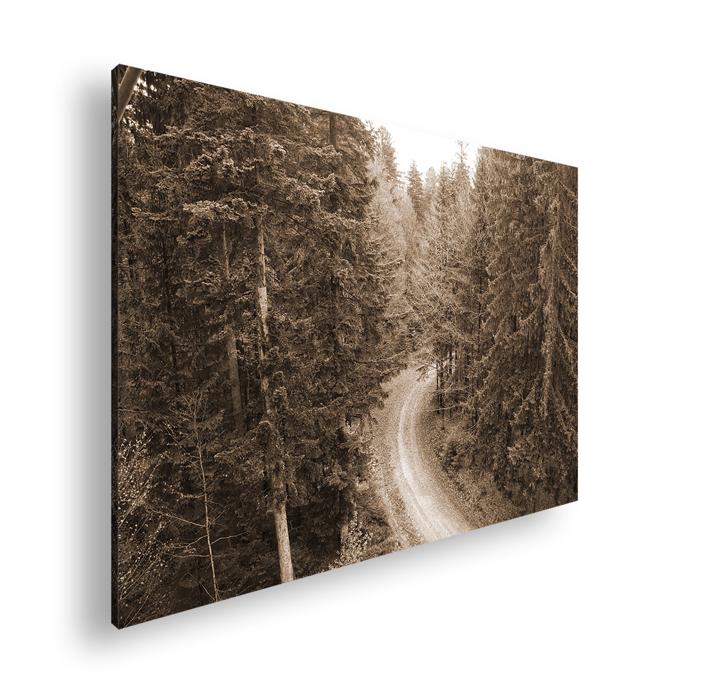 Hauptbild Sepia Standart