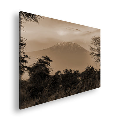 Hauptbild Sepia Standart