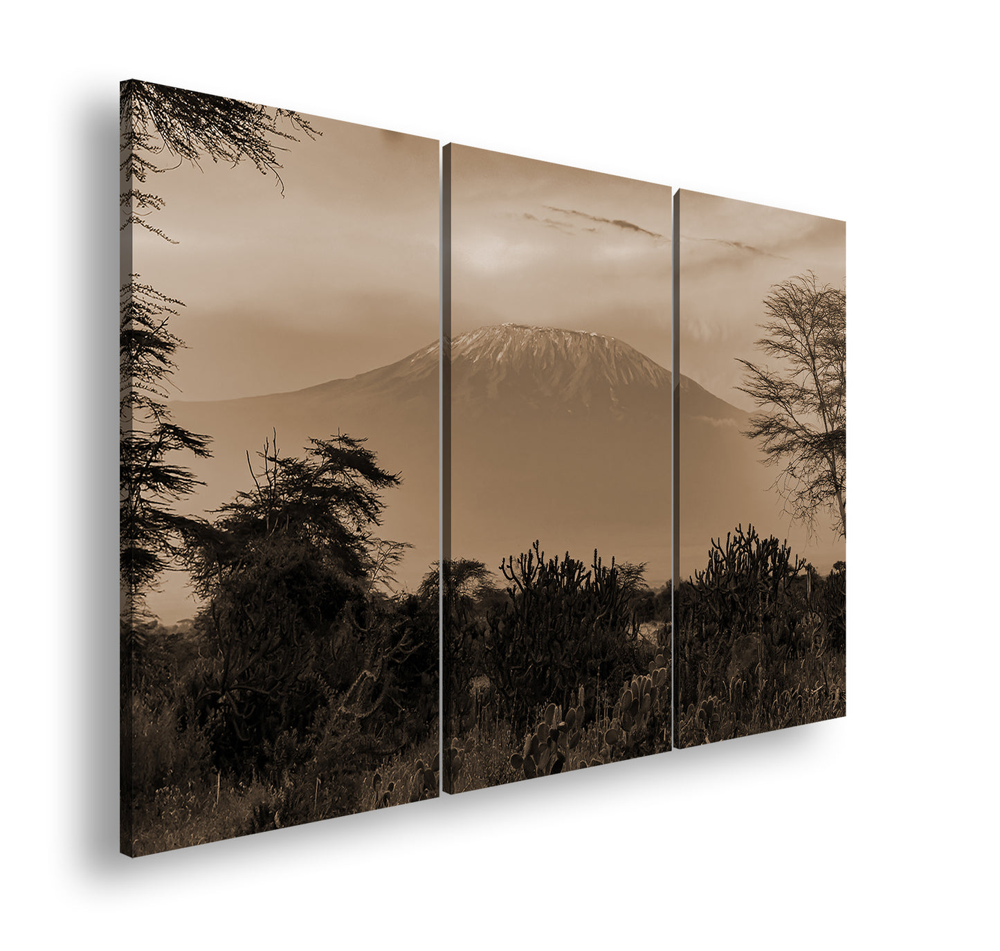 Hauptbild Sepia 3 Teilig