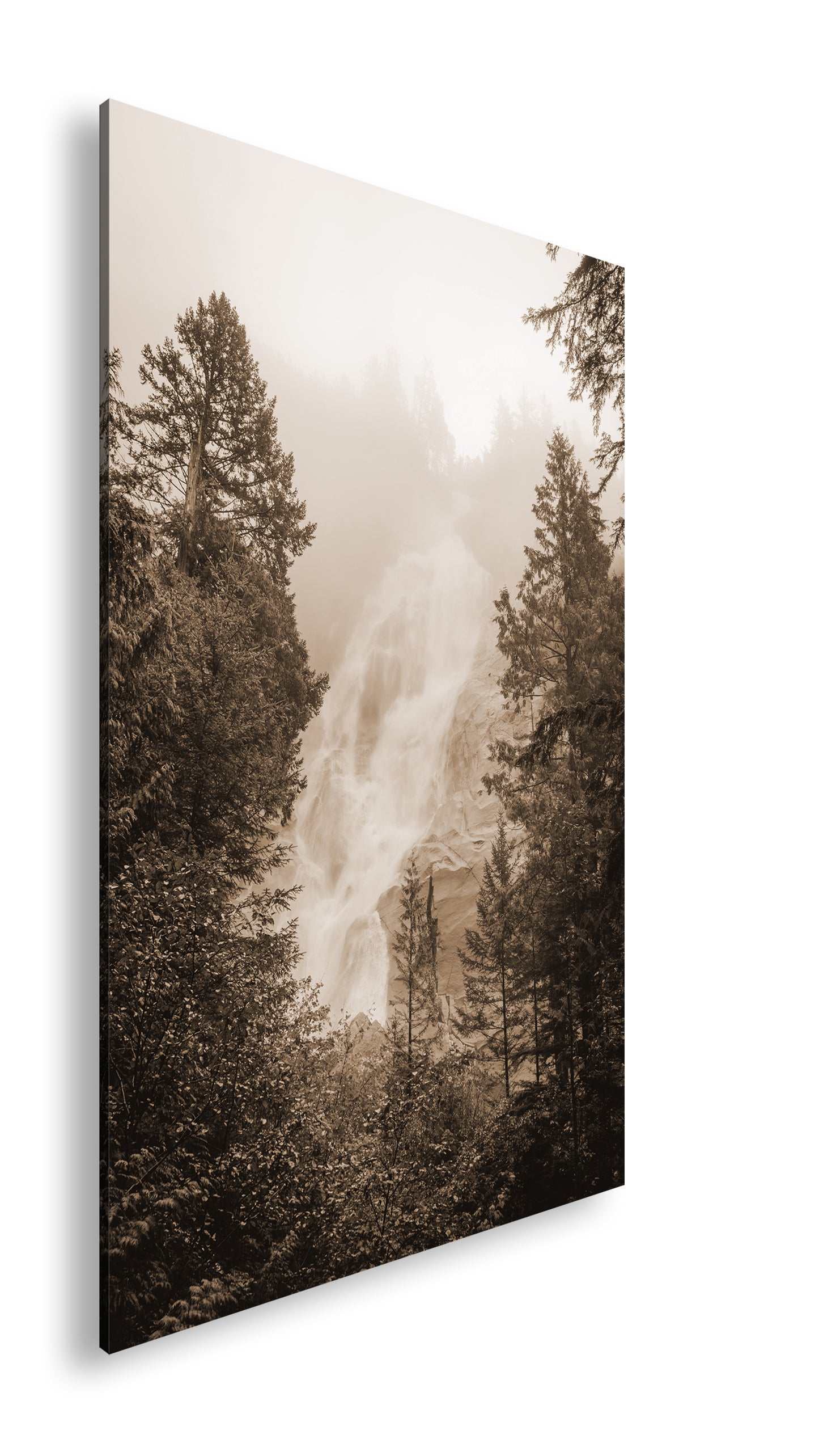 Hauptbild Sepia Standart