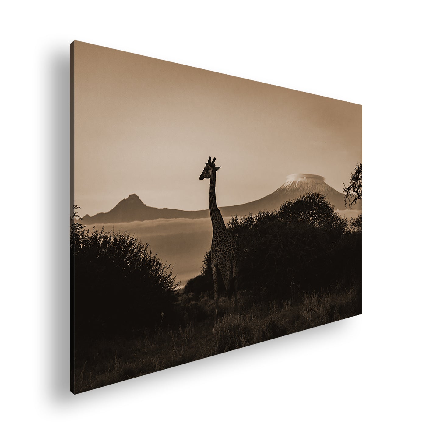 Hauptbild Sepia Standart