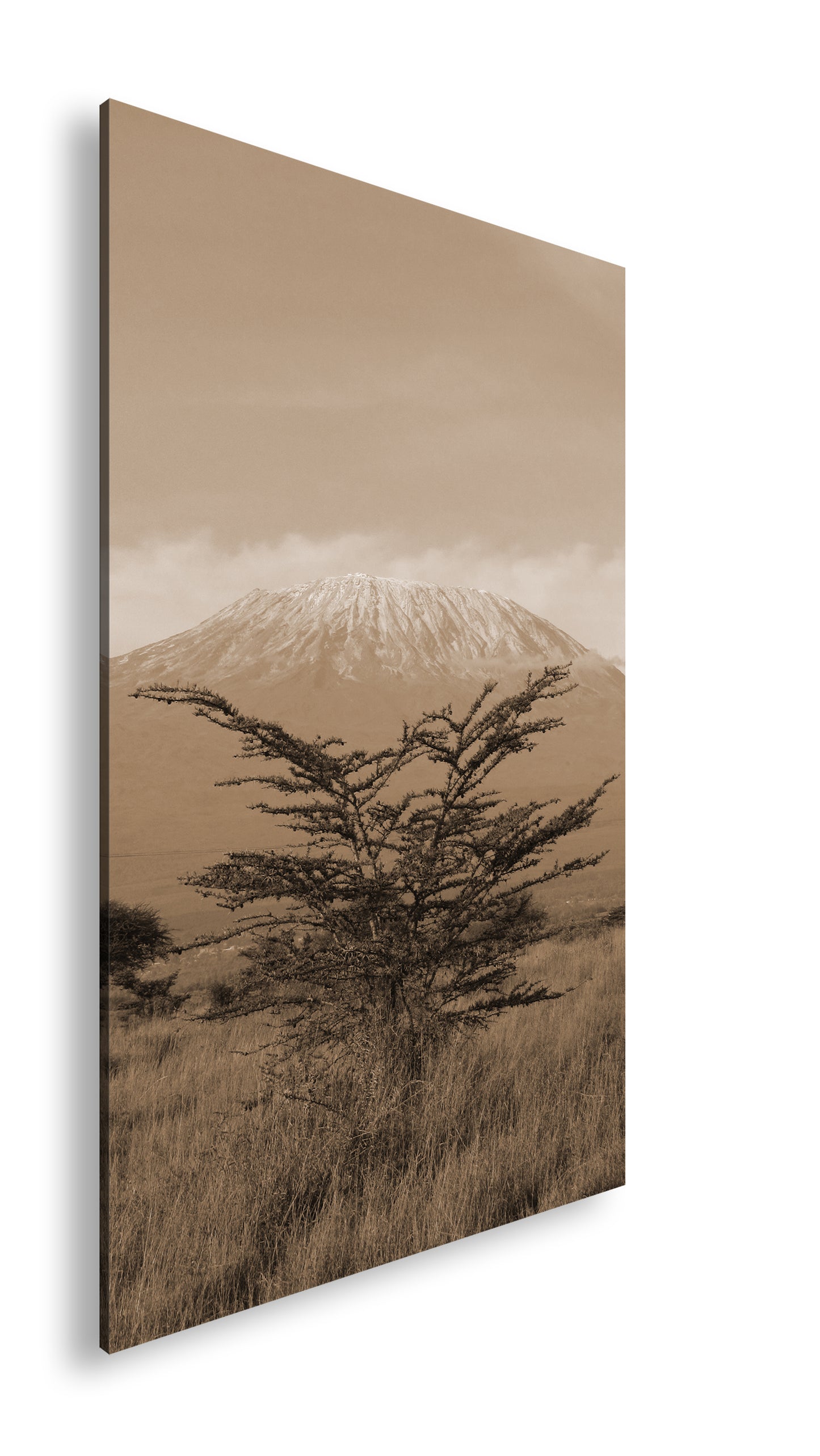 Hauptbild Sepia Standart