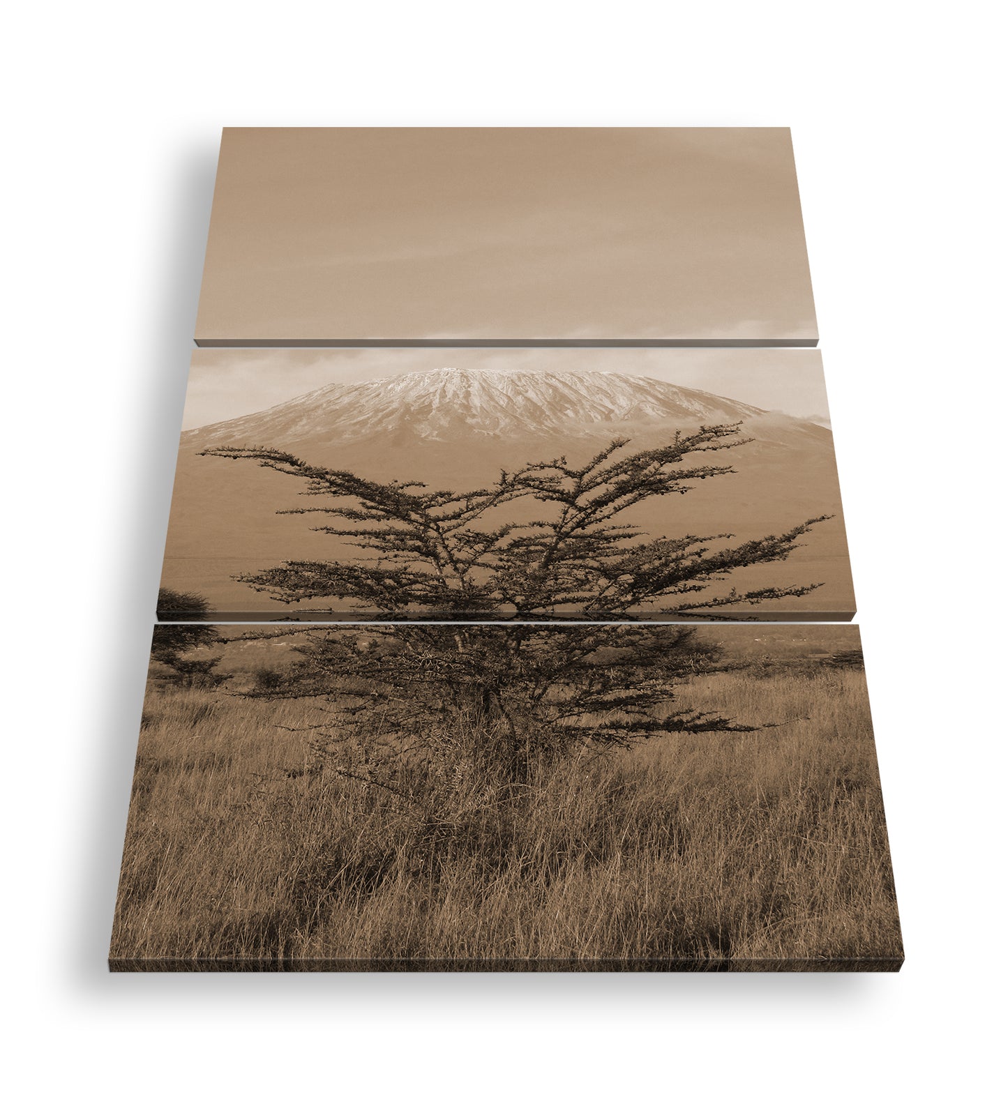 Hauptbild Sepia 3 Teilig