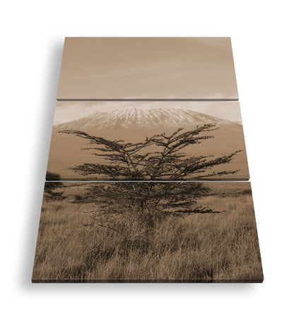 Hauptbild Sepia 3 Teilig