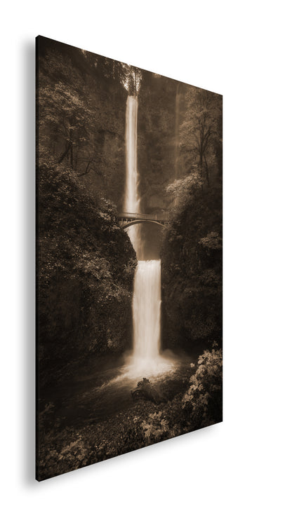 Hauptbild Sepia Standart