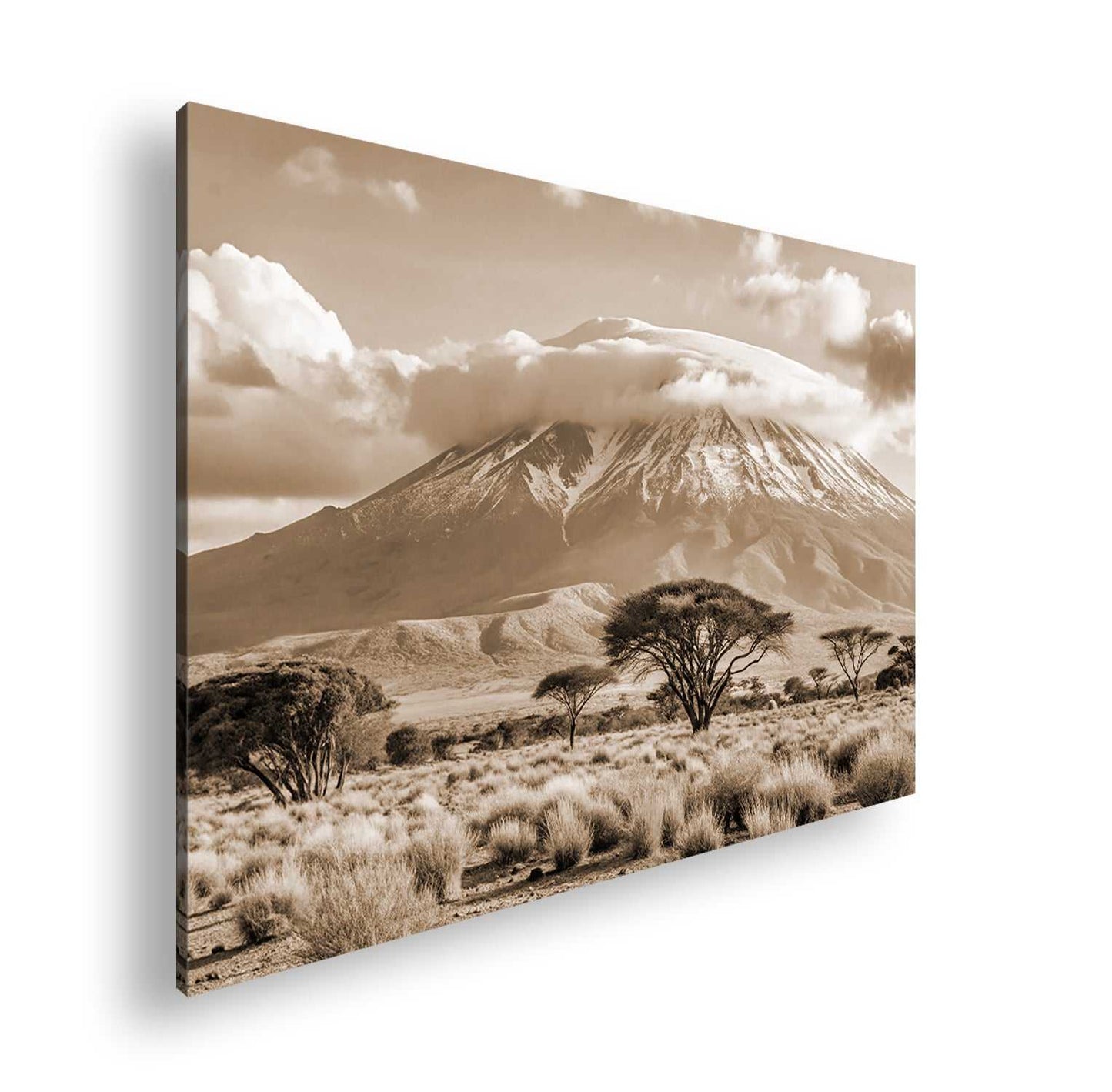 Hauptbild Sepia Standart