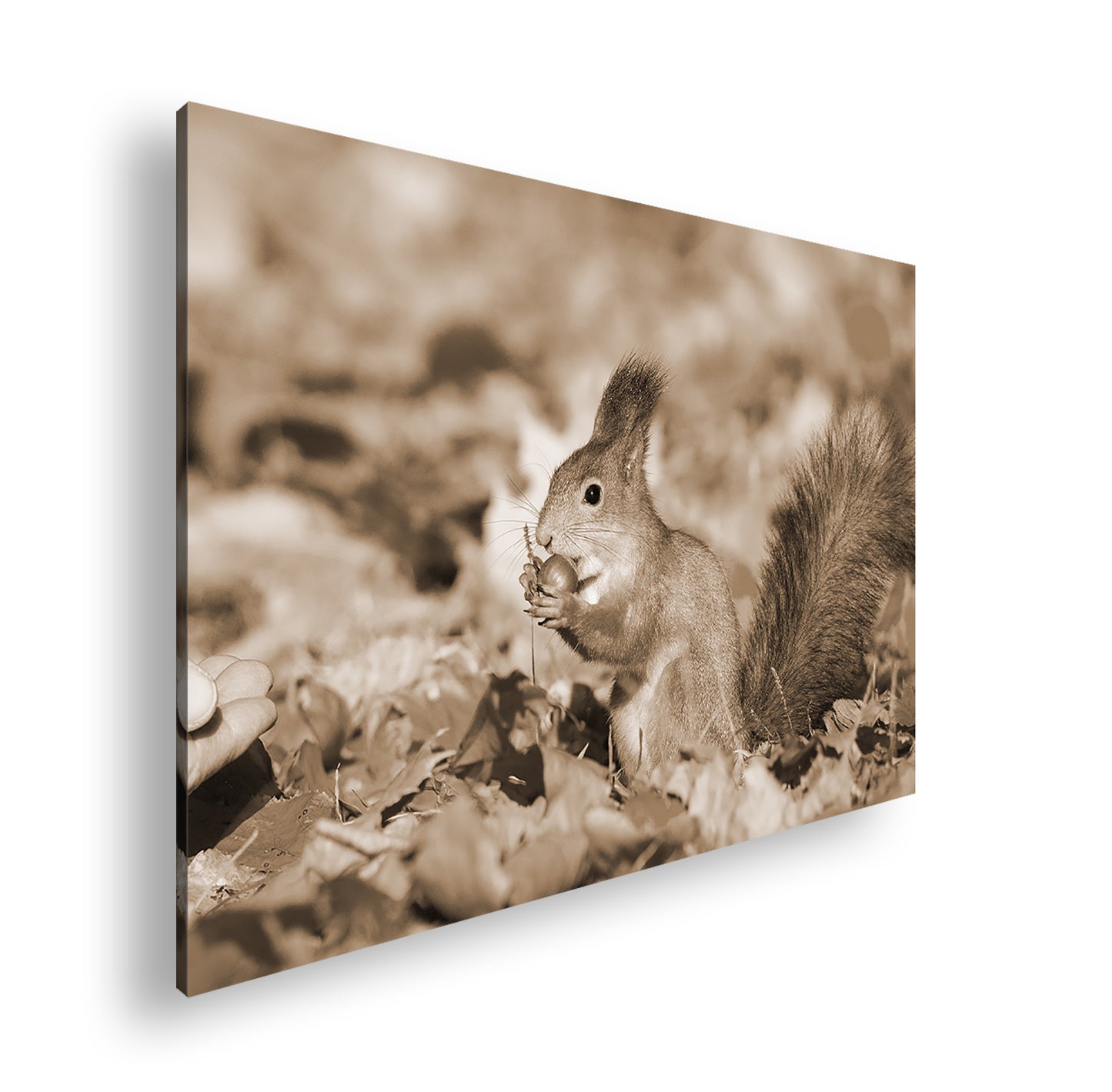 Hauptbild Sepia Standart