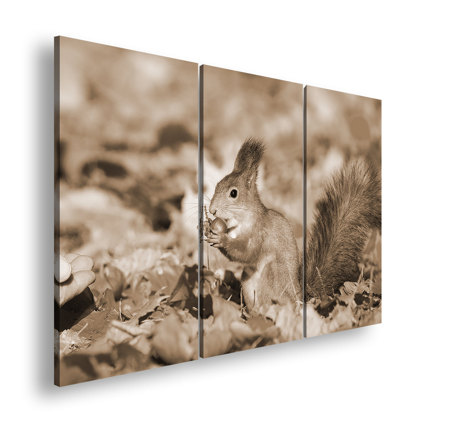 Hauptbild Sepia 3 Teilig