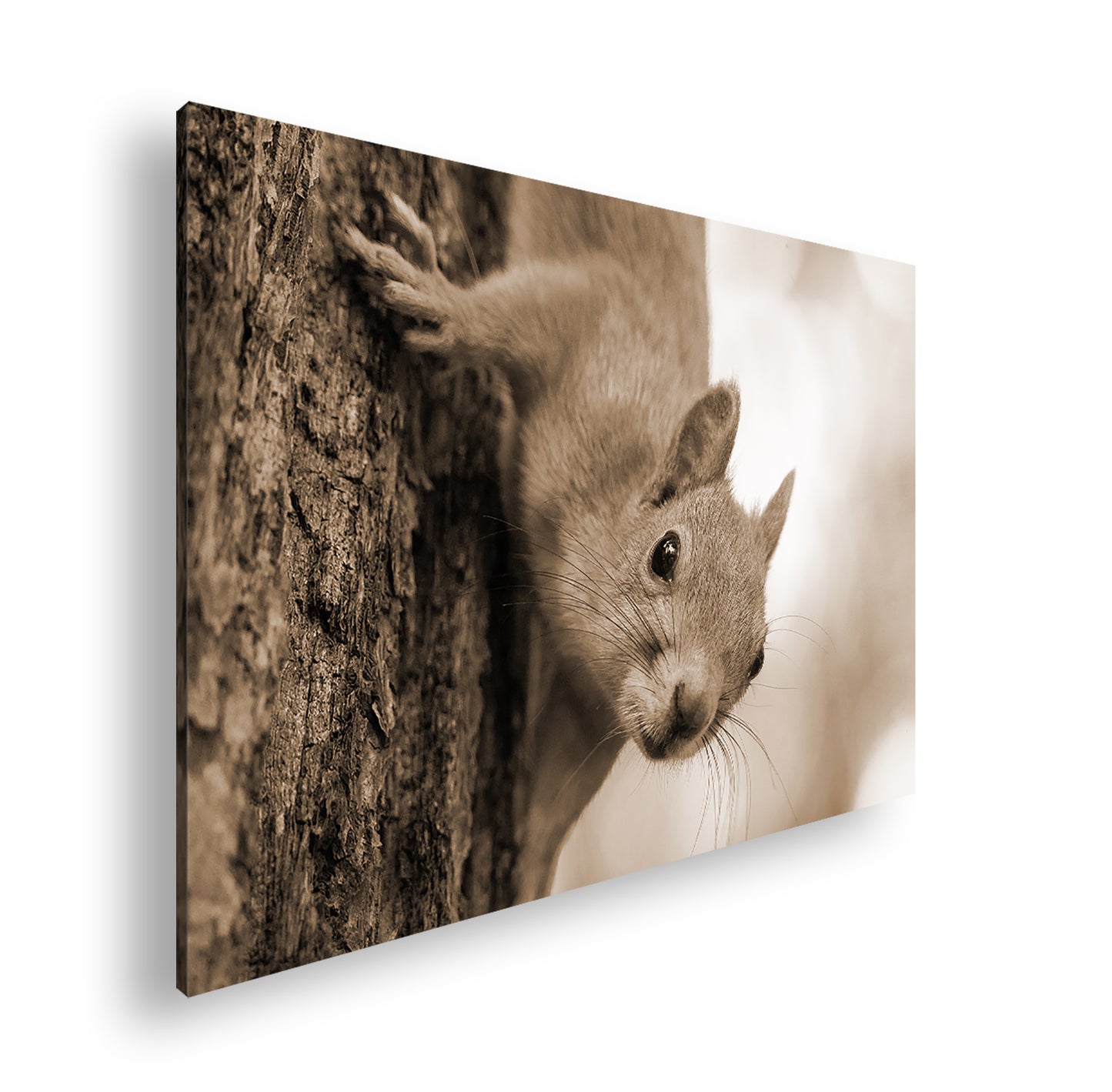 Hauptbild Sepia Standart