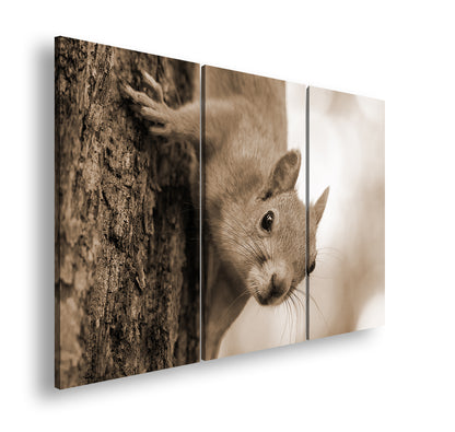 Hauptbild Sepia 3 Teilig