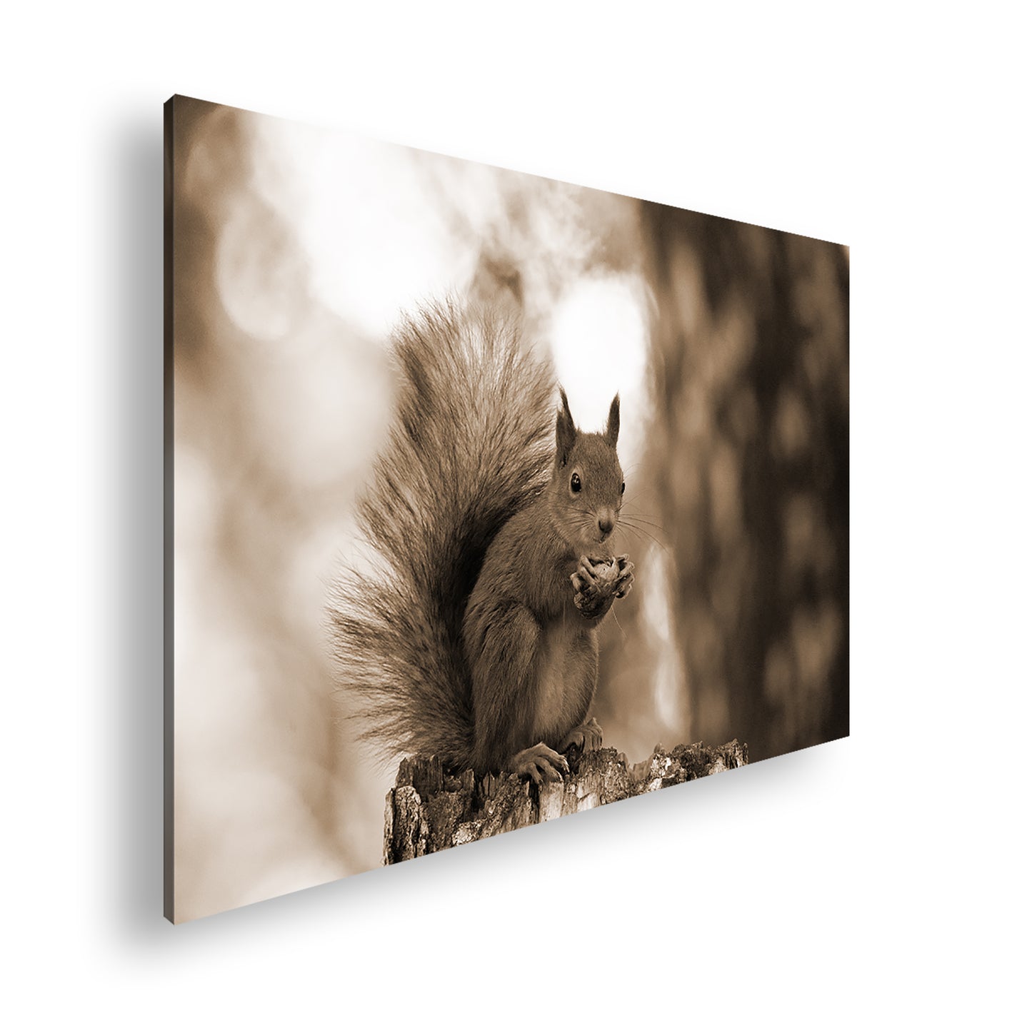 Hauptbild Sepia Standart