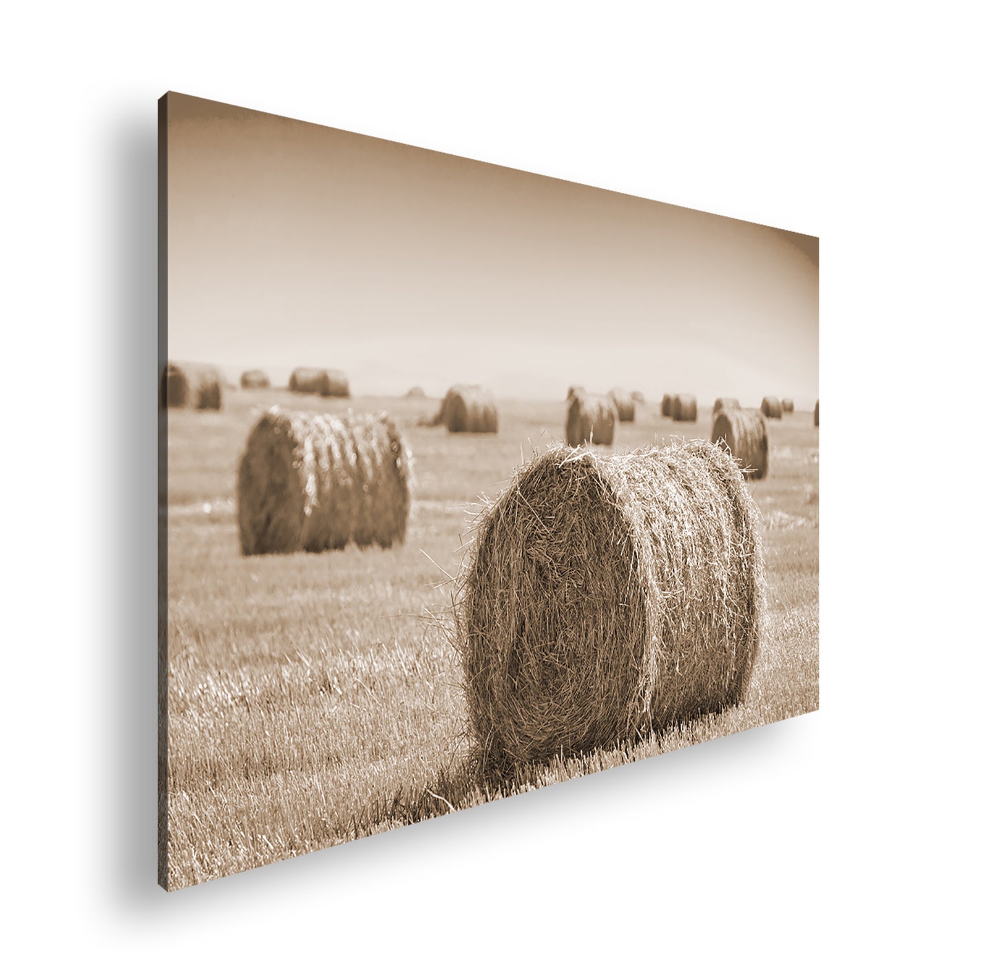 Hauptbild Sepia Standart