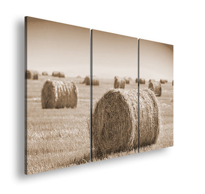 Hauptbild Sepia 3 Teilig