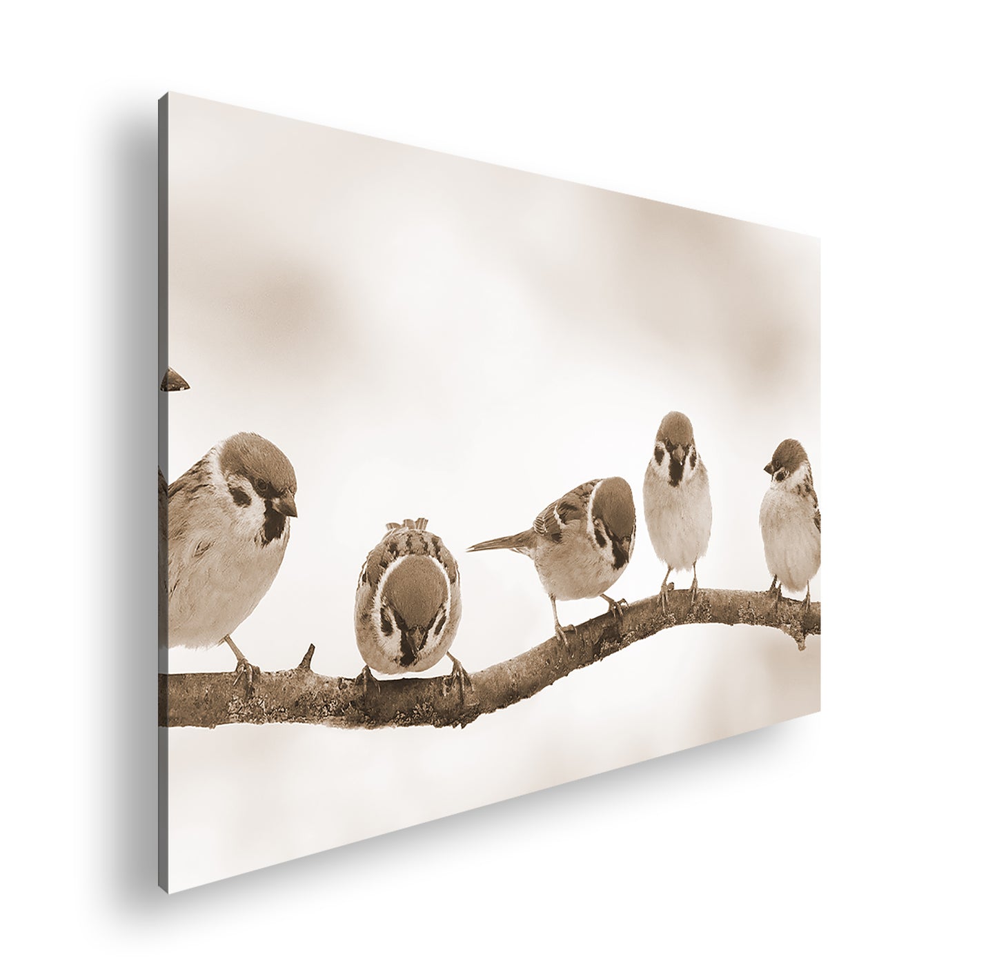 Hauptbild Sepia Standart