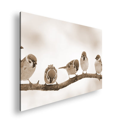 Hauptbild Sepia Standart